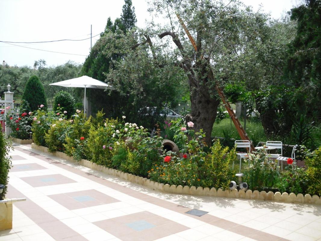 Ioli Apartments Thasos Extérieur photo