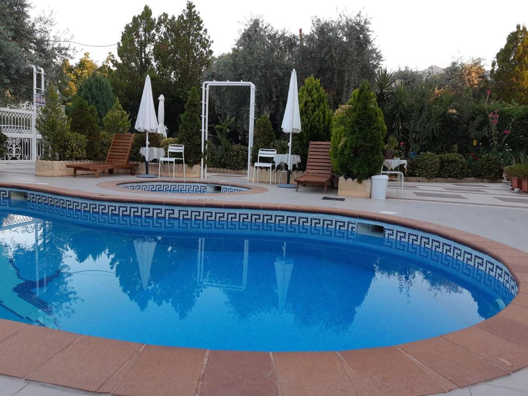 Ioli Apartments Thasos Extérieur photo